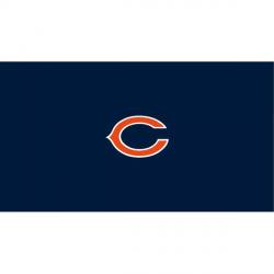 Chicago Bears Billiard Ball Set